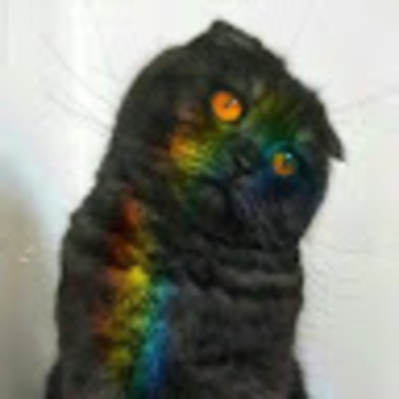 essiebear56
